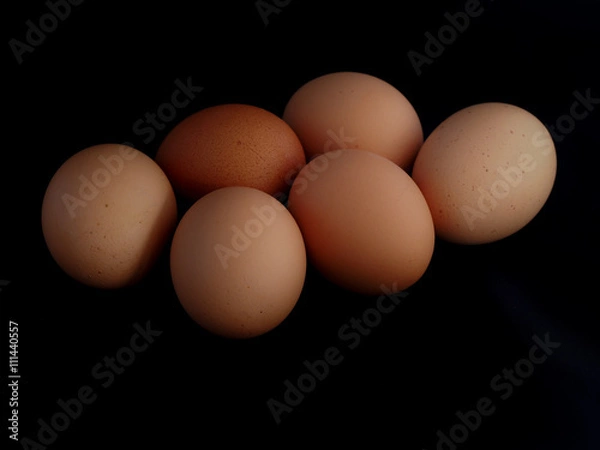 Obraz Eggs on a black background