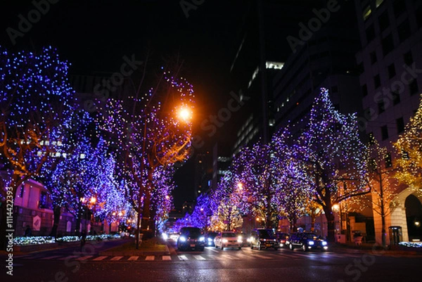 Obraz 大阪市の夜景・御堂筋イルミネーション