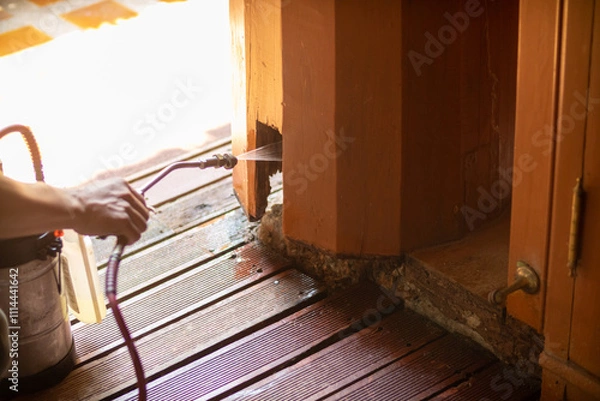 Fototapeta young man chooses to use termite control chemicals that are not toxic to humans mixed with water in tank for spraying to eliminate termites. enabling young man to spray termite repellant by himself