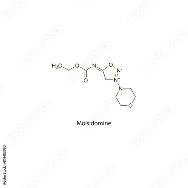 Obraz Molsidomine flat skeletal molecular structure nitrate drug used in angina pectoris treatment. Vector illustration scientific diagram.