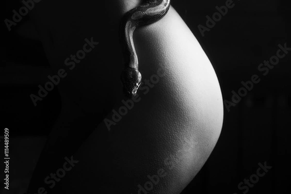 Fototapeta Snake dance