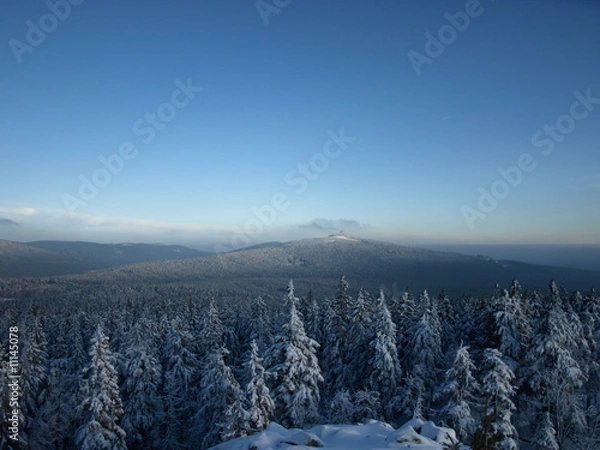Obraz Winter im Oberharz