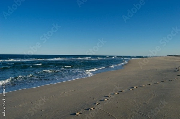 Obraz Seaside Park Beach and Boardwalk