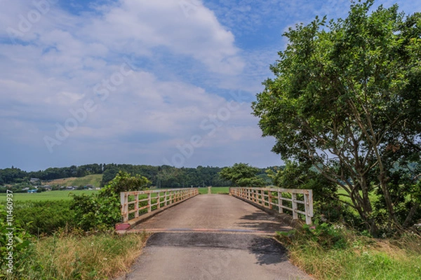 Fototapeta 初夏の佐倉の風景