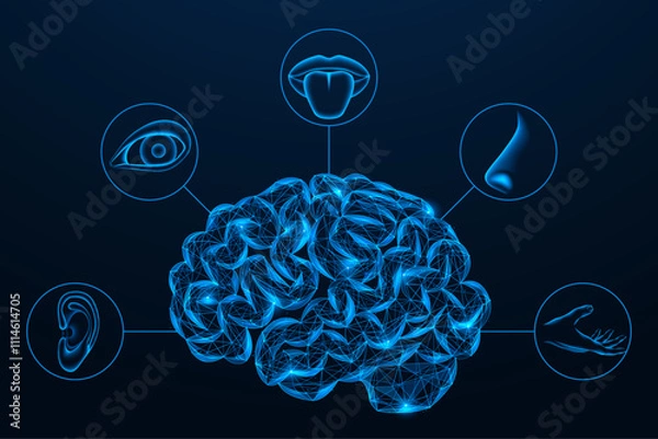 Fototapeta Human brain combines five senses. Polygonal design of interconnected elements. Blue background.