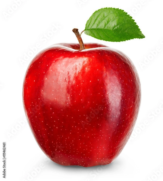 Fototapeta Ripe red apple isolated on a white background.