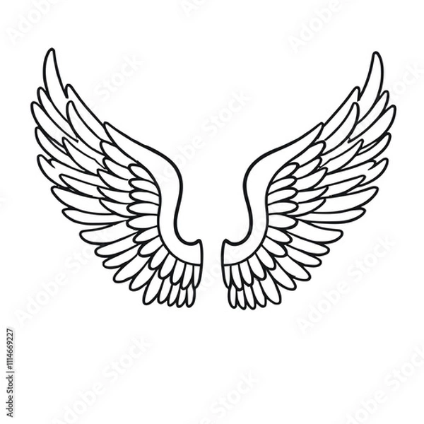 Obraz Vector outline wings on white background