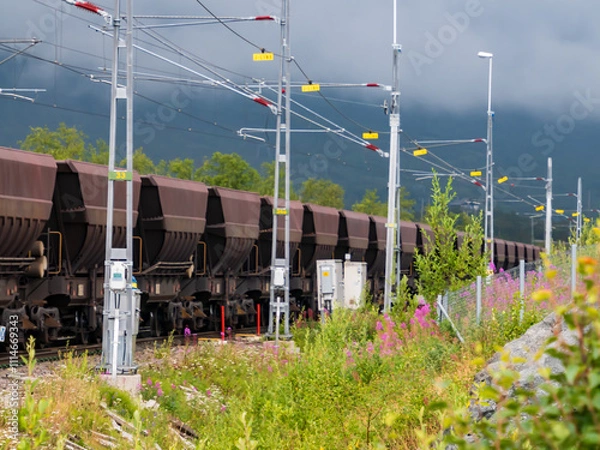 Obraz A freight train transporting iron ore from Kiruna, Sweden to Narvik, Norway. Summer 2023. Abisko, Western Europe