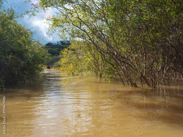 Obraz Amazonia