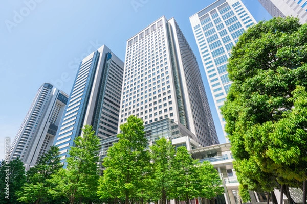 Obraz 東京　品川　高層ビル　新緑