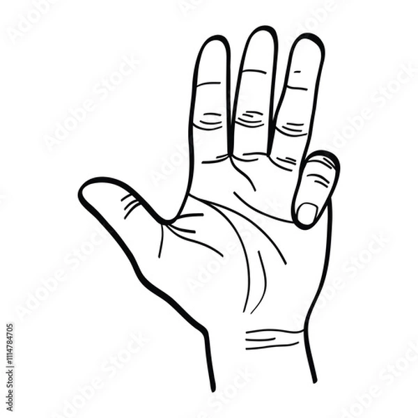 Obraz illustration of a hand raising the thumb, index finger, middle finger and ring finger. hand gestures. vector
