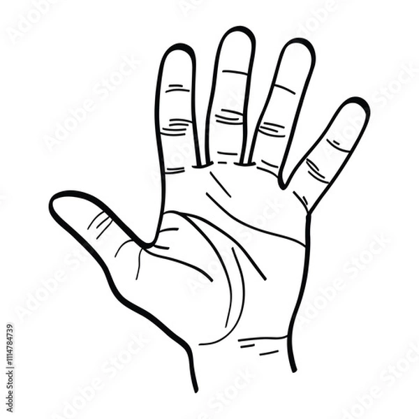 Obraz illustration of a raised hand with 5 fingers. vector