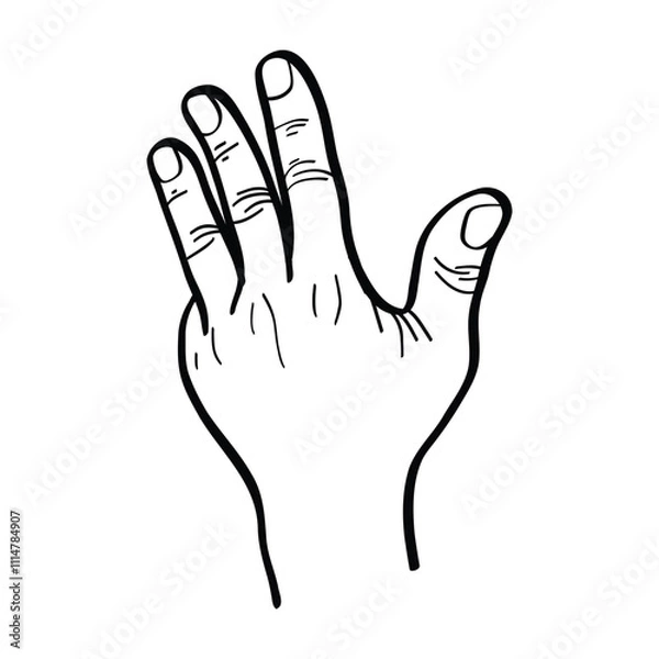 Obraz illustration of a hand raising the thumb, index finger, middle finger and ring finger. hand gestures. vector
