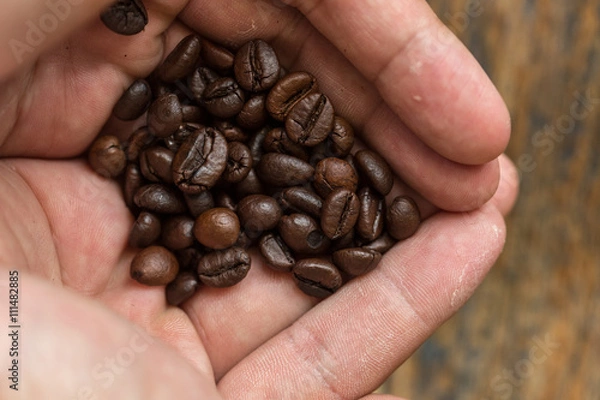 Obraz Coffee beans on wood background