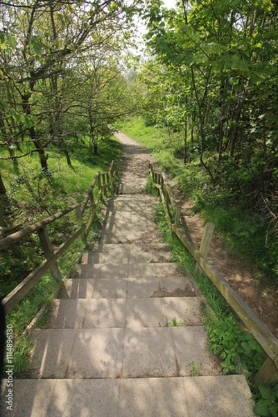 Fototapeta Queens Hill Costessey Norwich, United Kingdom, May 2, 2024. Views from Queens Hill Forest