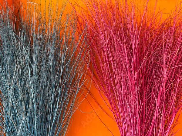 Fototapeta Colorful Dry Broom Weed On Bright Orange Wall Background At Mukdahan, Thailand. 08 Nov 2024. A.M.