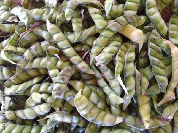 Fototapeta close-up of bean fruit, cultivation