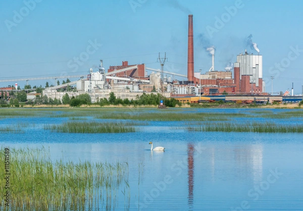 Obraz Pulp mill