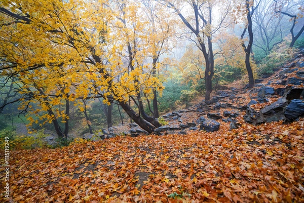 Obraz Early Winter Scenery at the North Foot of Wanshou Mountain in Summer Palace