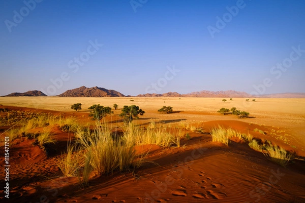 Obraz  A breathtaking sunrise illuminates the peaks of Namibia's Sossusvlei Mountains and the iconic Elim Dunes, casting a golden glow over the tranquil desert. A moment of pure natural wonder.