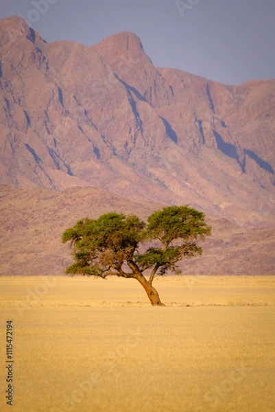 Obraz  A solitary tree stands resilient in the vast golden plains, captured from the Elim Dunes. Framed by the Namibian mountains bathed in the warm hues of sunset, it exudes timeless beauty.