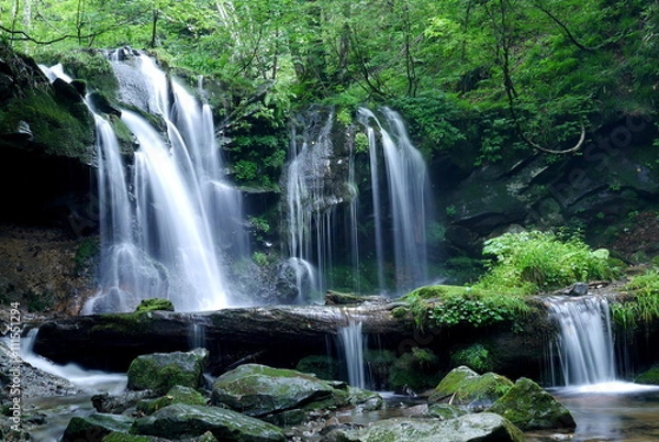 Fototapeta 猿壺の滝