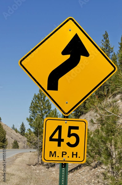 Obraz 45 MPH Curve Sign