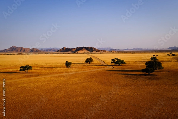 Obraz A winding gravel track cuts through the vast namib desert near Elim dune, bordered by scattered trees and framed by distant mountain peaks. A stunning blend of isolation and beauty of Sossuvlei.