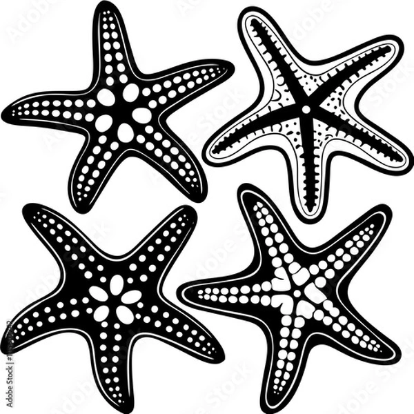 Fototapeta Set of starfish silhouette vector illustration, Starfish icon collection