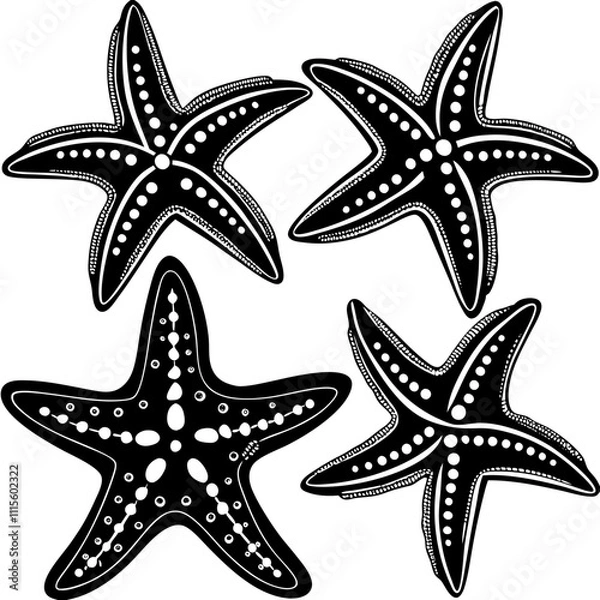 Fototapeta Set of starfish silhouette vector illustration, Starfish icon collection