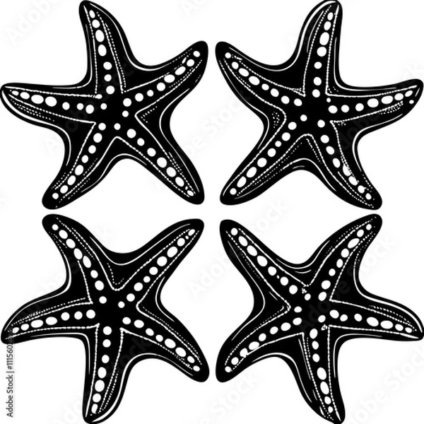 Fototapeta Set of starfish silhouette vector illustration, Starfish icon collection