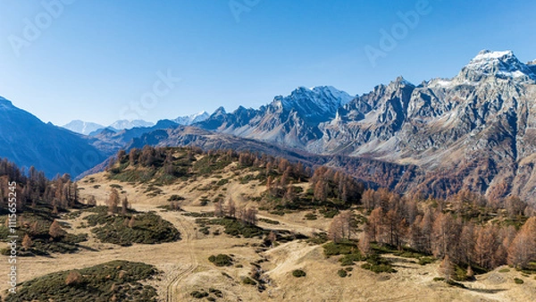 Fototapeta Foliage all'Alpe Sangiatto (Alpe Devero) in autunno
