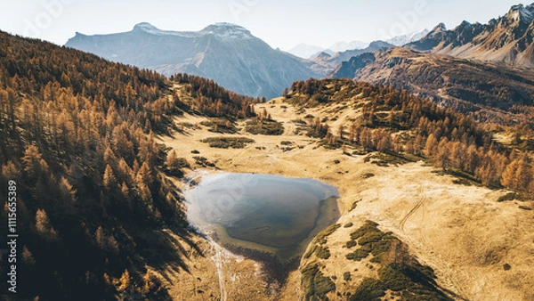 Fototapeta Foliage all'Alpe Sangiatto (Alpe Devero) in autunno