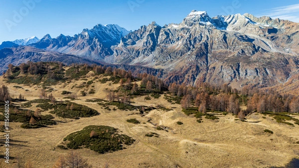 Fototapeta Foliage all'Alpe Sangiatto (Alpe Devero) in autunno