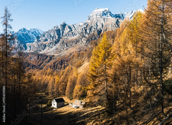 Fototapeta Foliage all'Alpe Sangiatto (Alpe Devero) in autunno