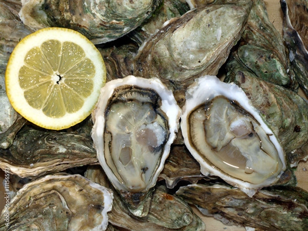 Obraz bourriche d'huitres