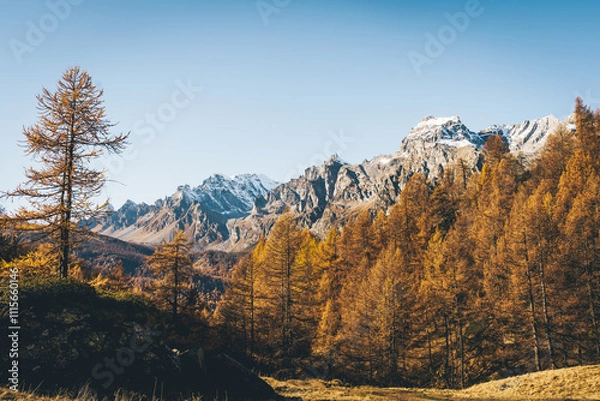 Fototapeta Foliage all'Alpe Sangiatto (Alpe Devero) in autunno