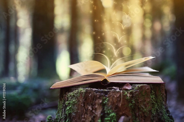 Obraz Open book outdoor. Knowledge is power. Book in a forest. Book on a stump