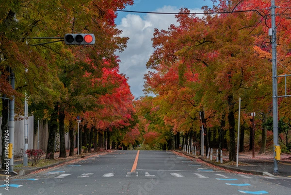 Obraz 奇麗な紅葉