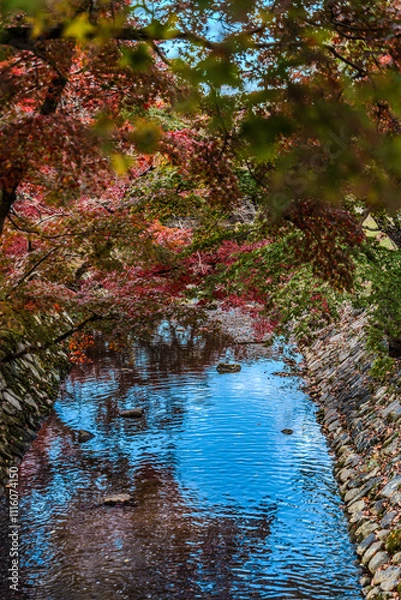 Obraz 奇麗な紅葉