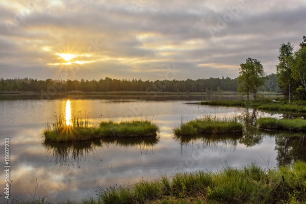 Obraz Wurzacher Ried