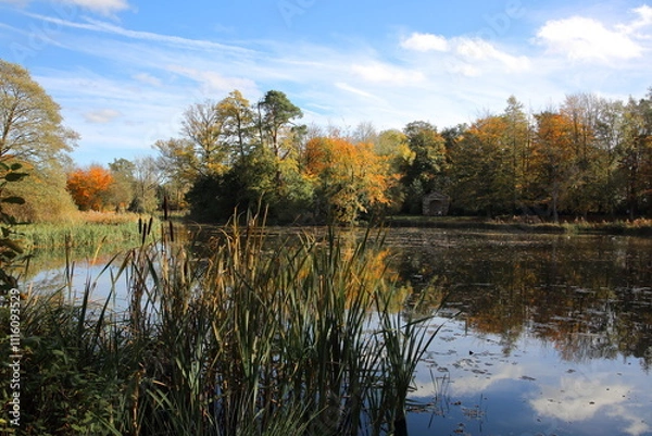 Obraz Autumn landscape