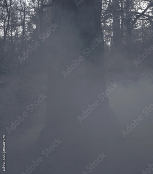 Obraz A somber tree trunk bathed in smoky fog, creating a moody woodland scene