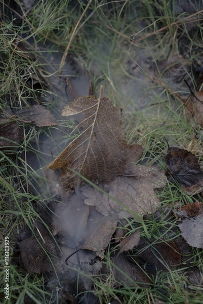 Obraz Autumn leaf scattered on a damp forest ground with tendrils of smoke curling