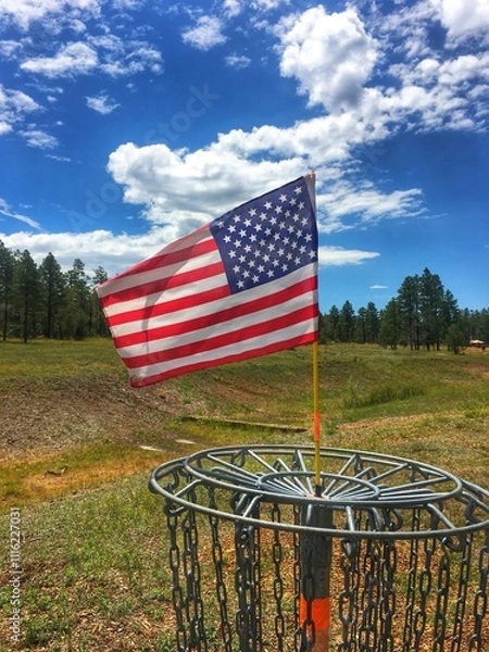 Obraz Frisbee golf flag