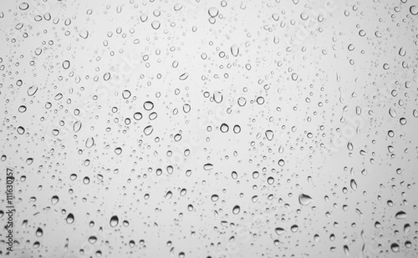 Obraz Water drop on white background