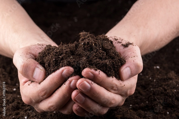 Obraz Soil in hands