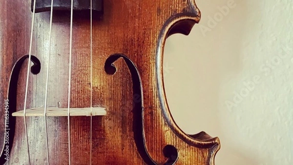 Obraz Geige (Ausschnitt)