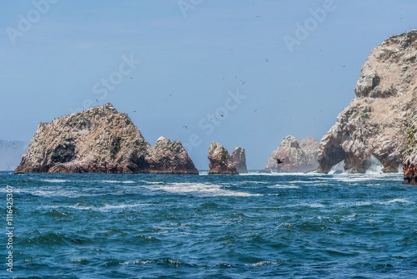 Obraz Island View of Paracas, Peru