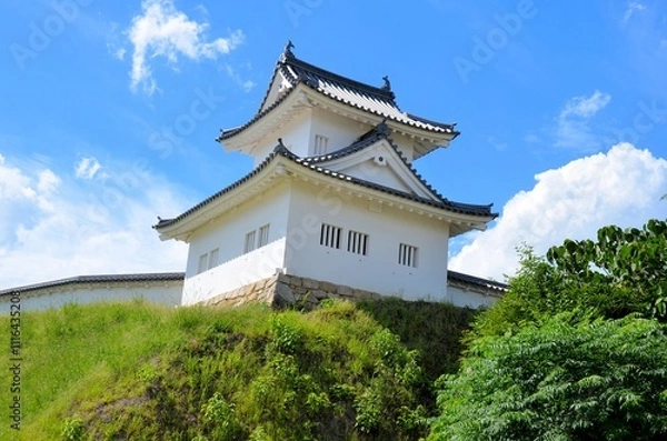 Fototapeta 岡崎城 青空に映える東隅櫓